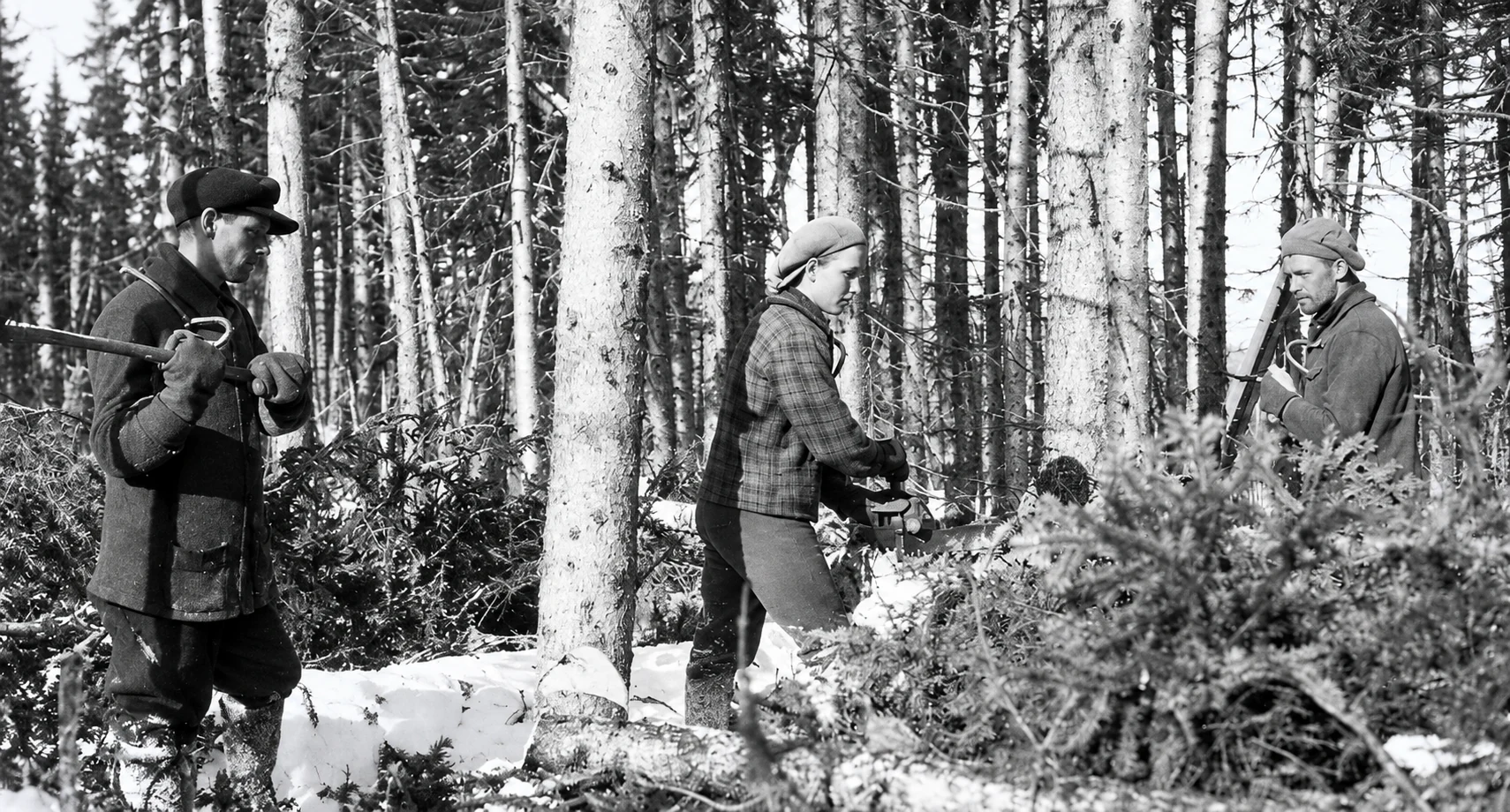 Photographie d’archives des chantiers de la Côte-Nord, image 17